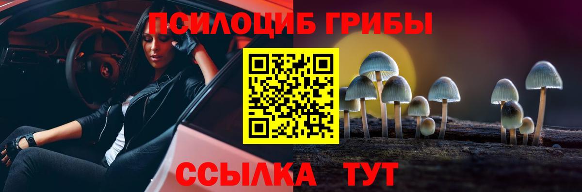 Кострома  Псилоцибиновые грибы Magic Shrooms  Вход с VPN  Псилоцибиновые грибы мицелий 